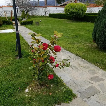 Teo Villa